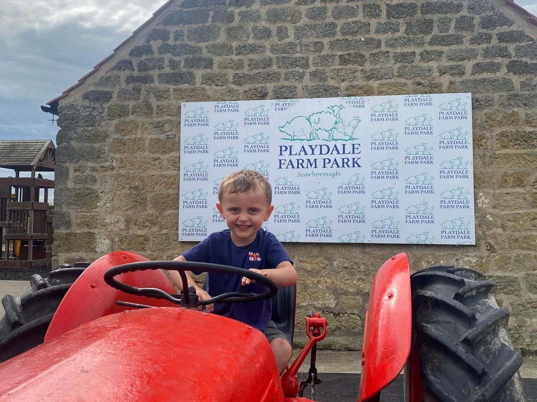 Playdale Farm Park景点图片