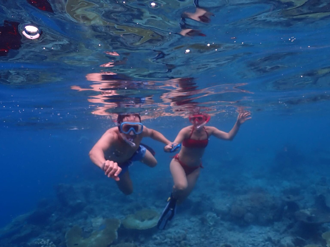 Bubbles Diving Center-Gulhi Island必去景点