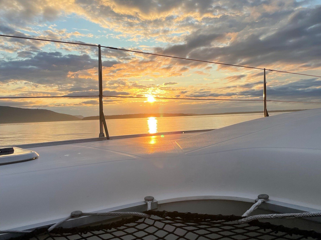 Gato Verde Adventure Sailing景点图片