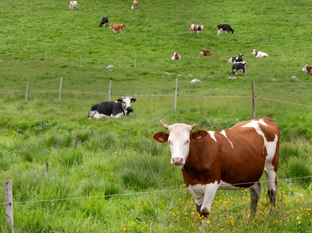 Le Col De La Schlucht-Le Valtin必去景点