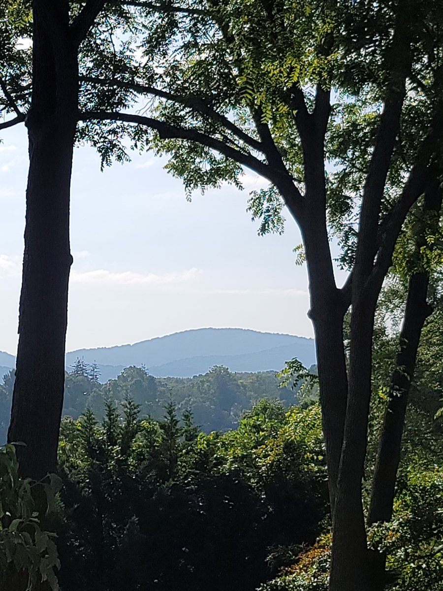 比尔特摩村旅店民宿-浴室