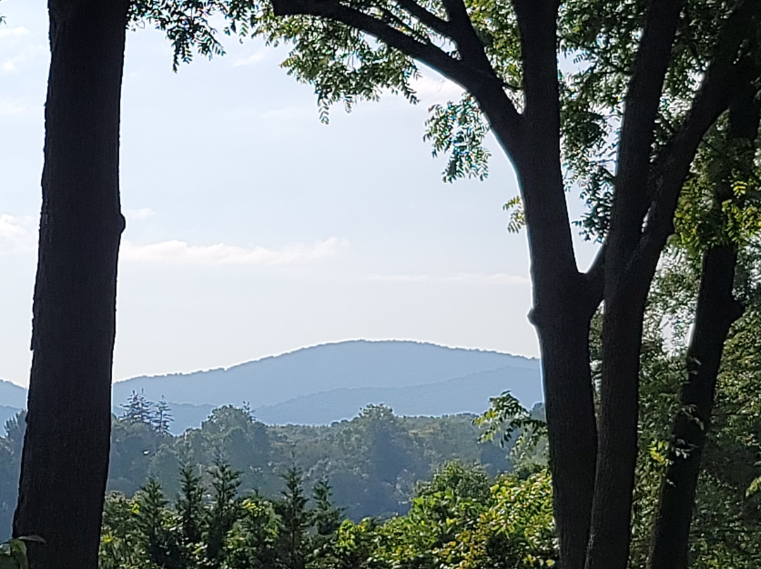 比尔特摩村旅店民宿主图