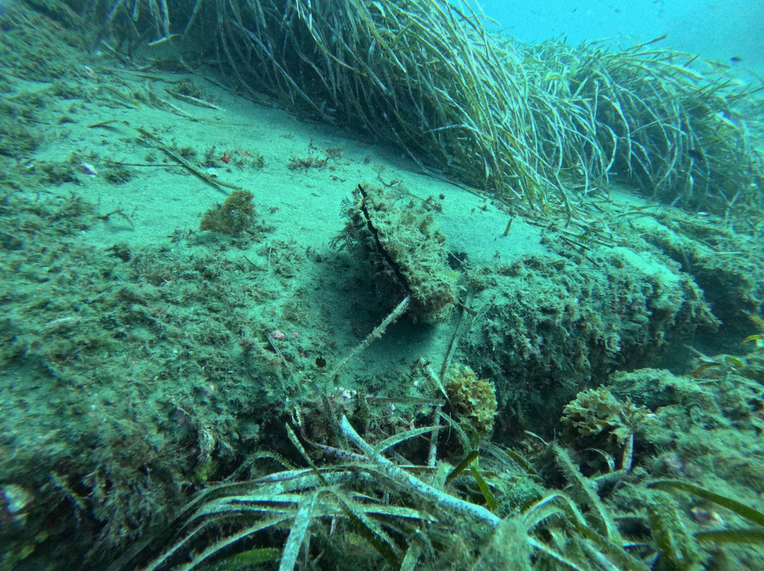 Centro de Buceo Branquias景点图片