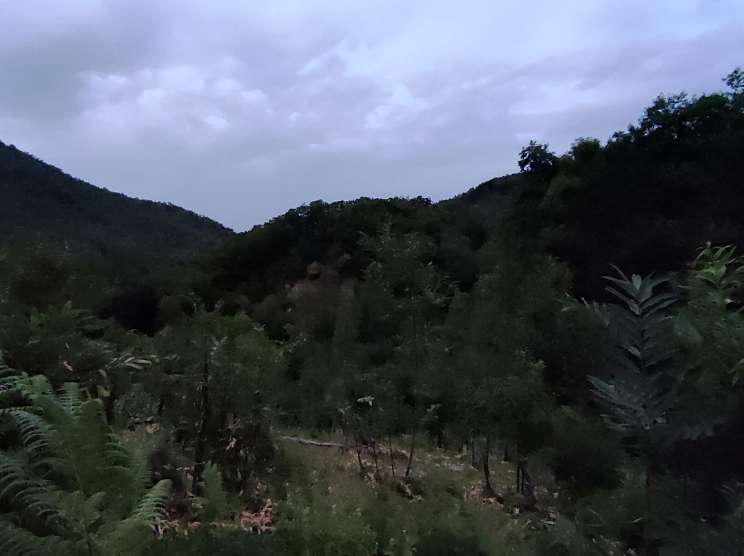 Fontana Mafariello-San Martino Valle Caudina必去景点