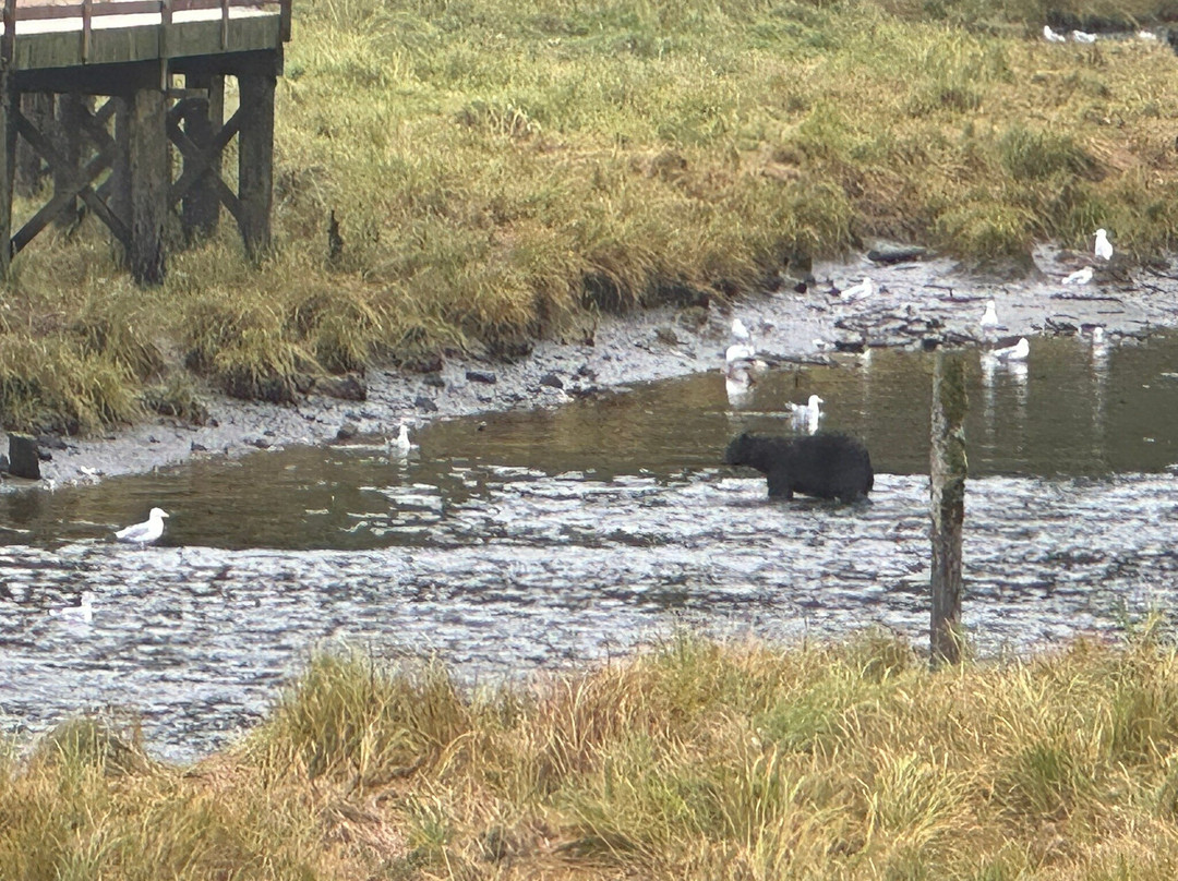 Herring Cove-凯奇坎必去景点