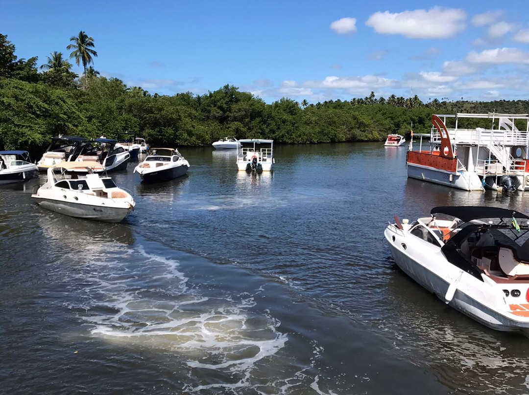 Manguezal Ecoturismo-Tamandare必去景点