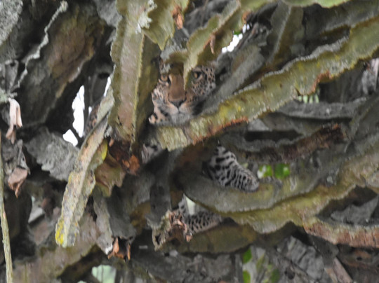 Responsible Travel Africa-吉佳利必去景点