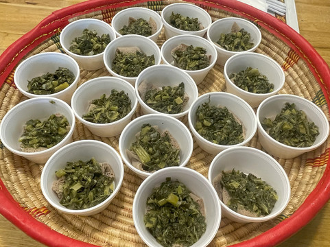 Unexpected Atlanta Tours-亚特兰大必去景点