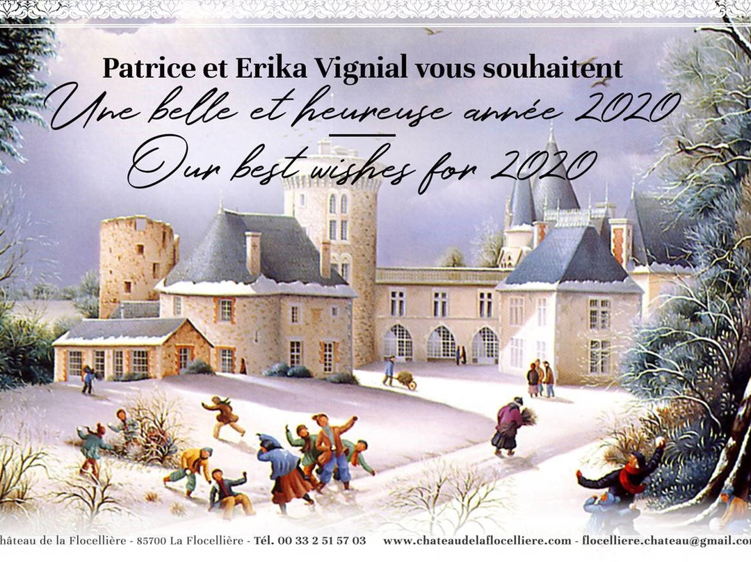 Chateau de la Flocelliere主图