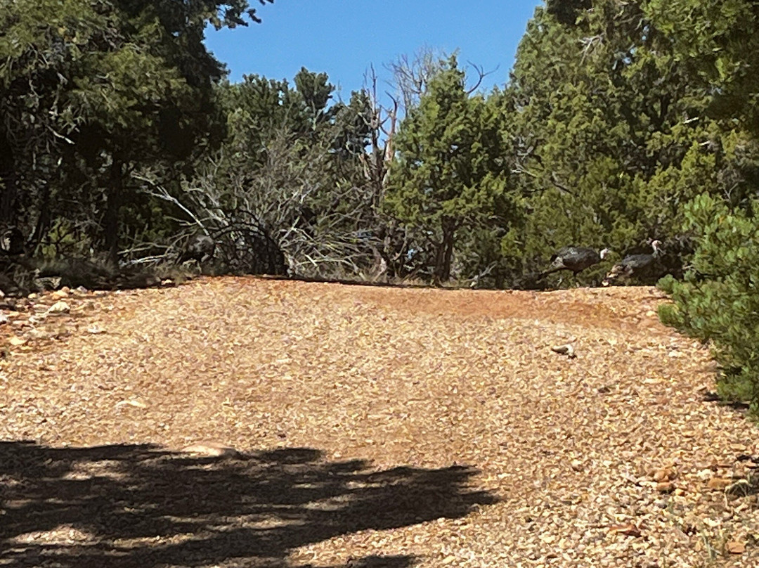 The Hideout Golf Club-Monticello必去景点