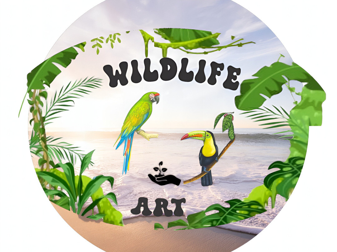 Wildlife Art Tours-托图杰多必去景点
