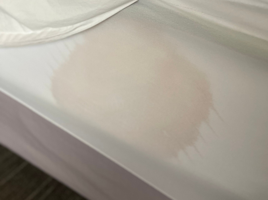 DeSoto House Hotel主图