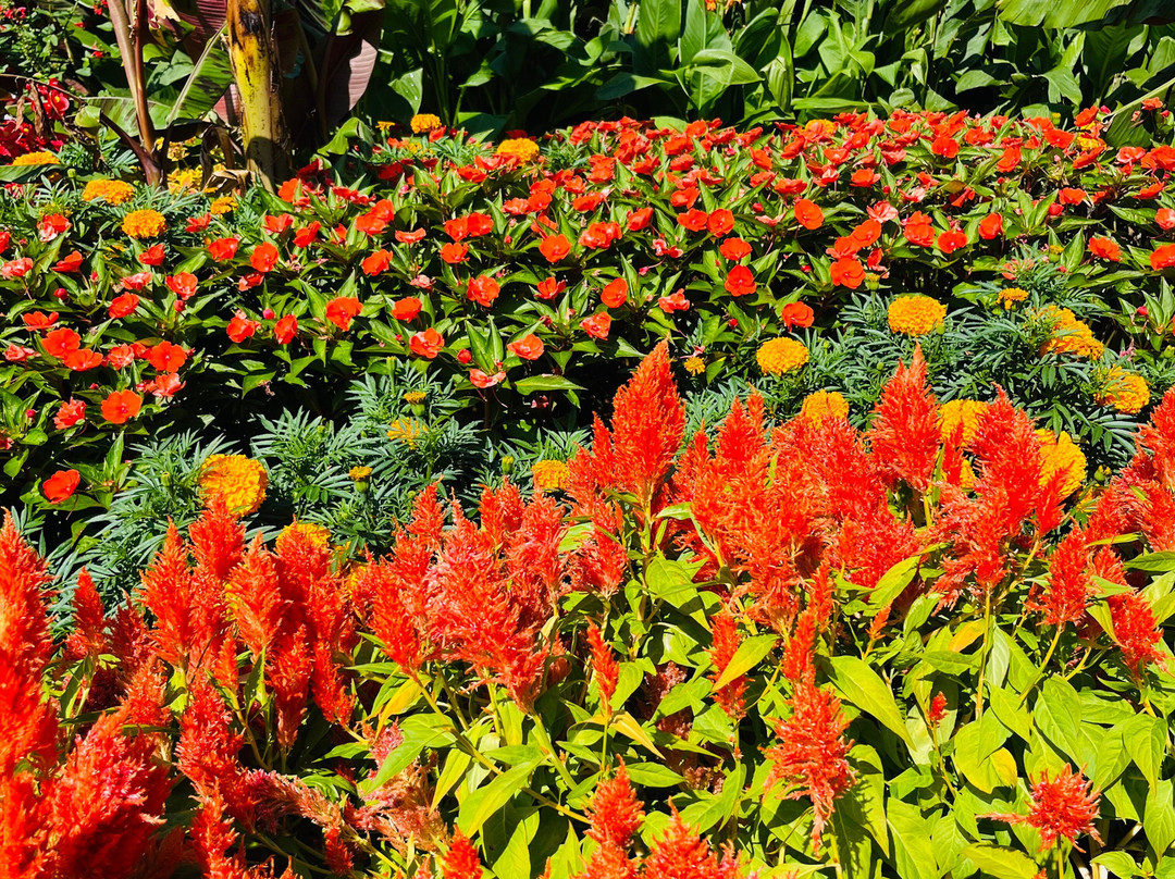 Clark Botanic Garden-Albertson必去景点