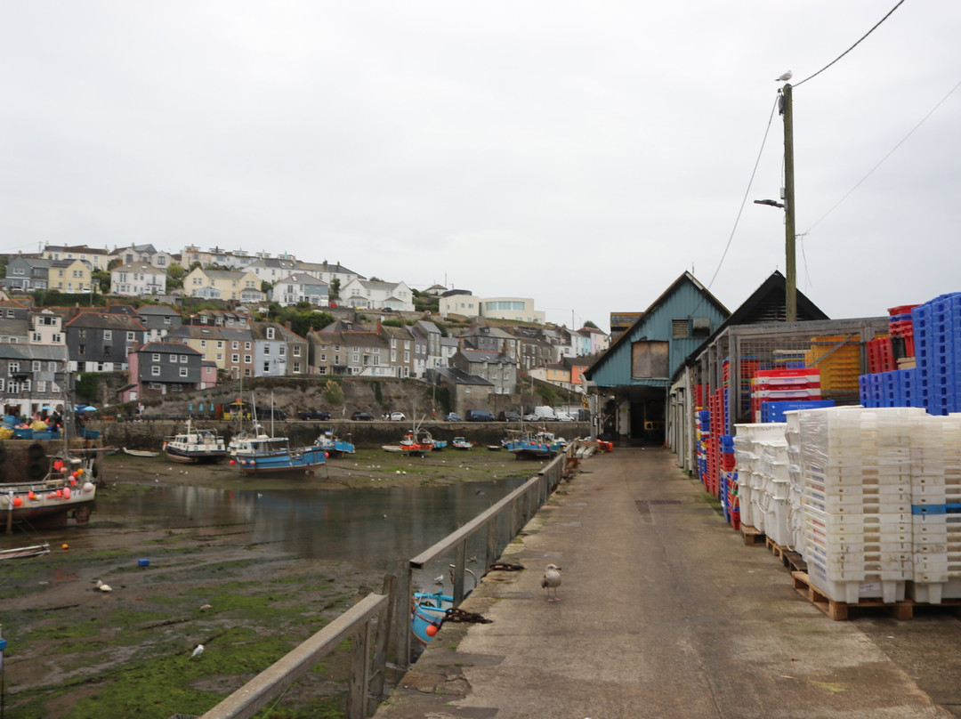 Mevagissey Harbour景点图片