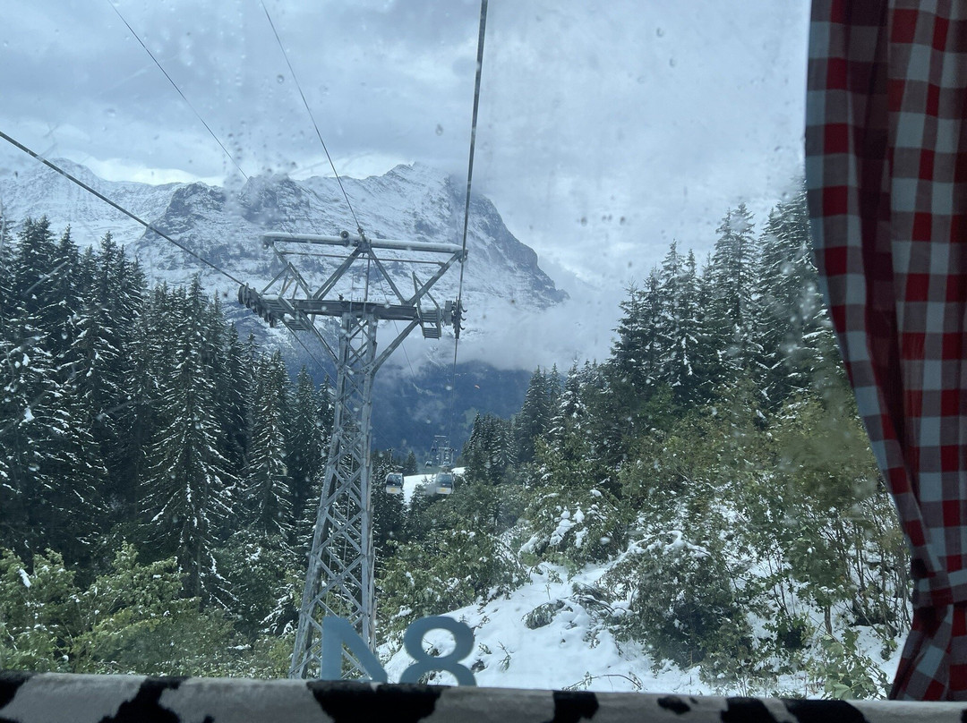 Grindelwald Tourism-格林德瓦必去景点