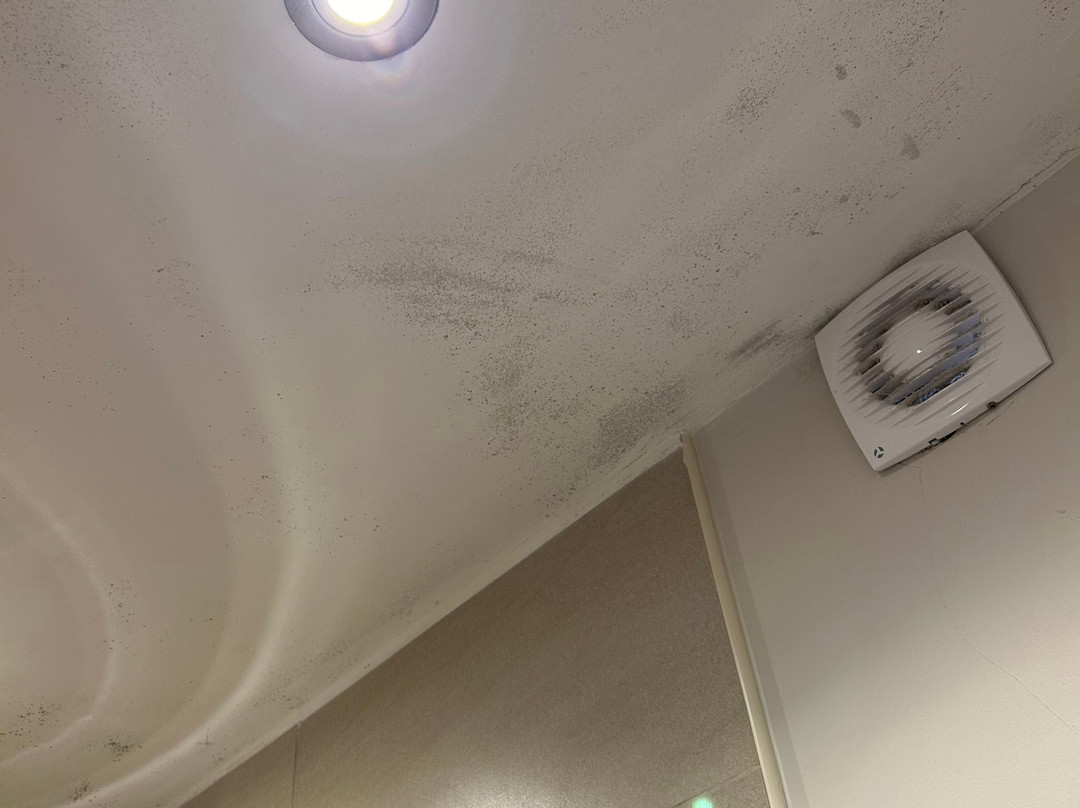 Victoria House主图