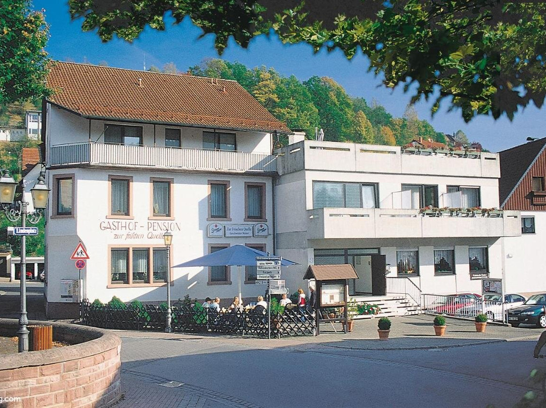 Gasthaus und Pension Zur Frischen Quelle主图