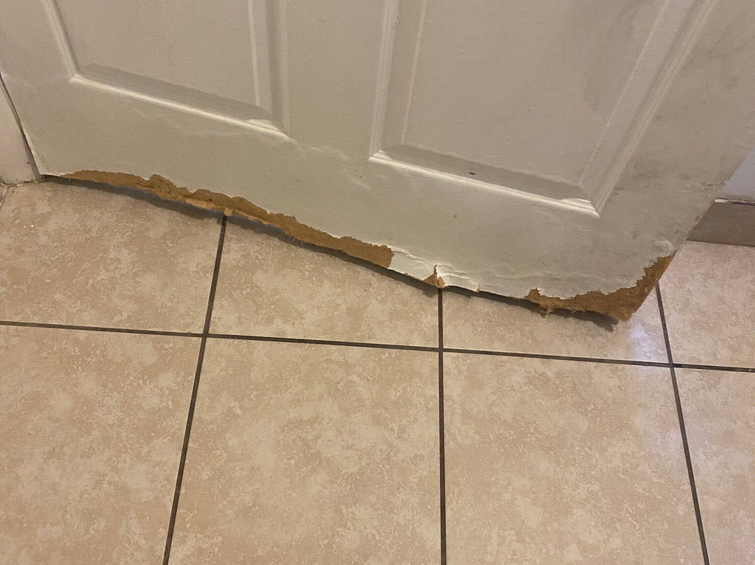 Super 8 by Wyndham Arkansas City KS主图