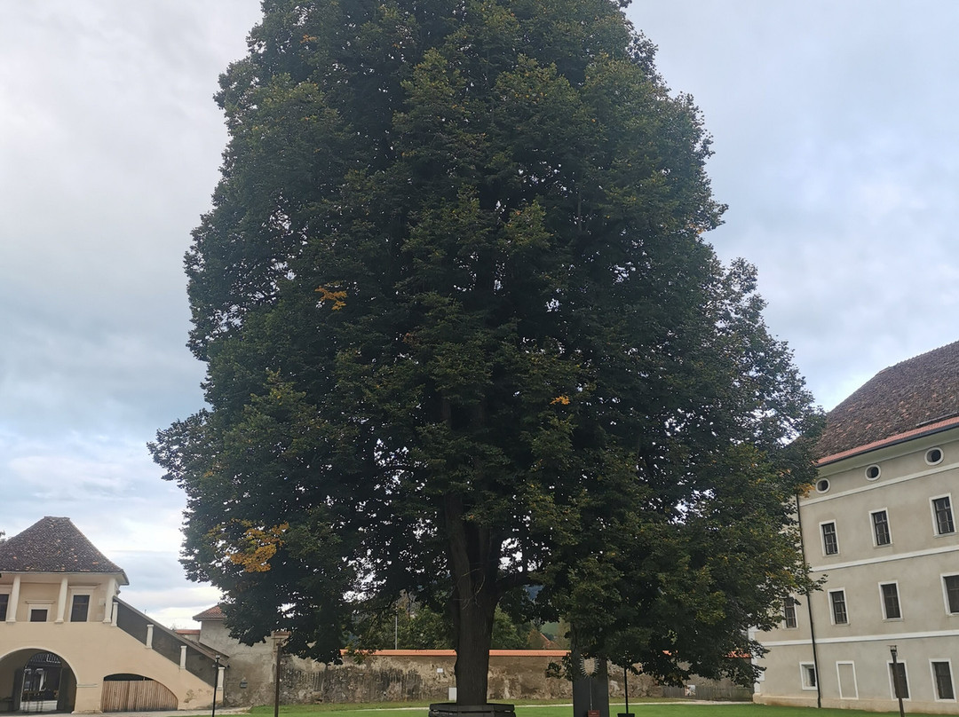 JUFA Hotel Stift Gurk主图