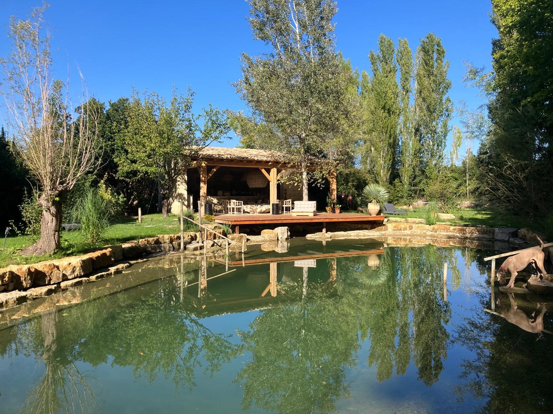 Manoir Des Sources主图