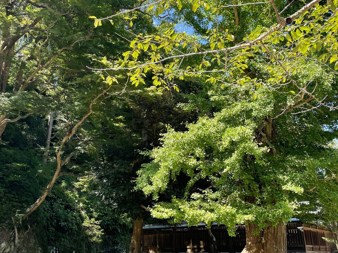 Awa Jinja-馆山市必去景点