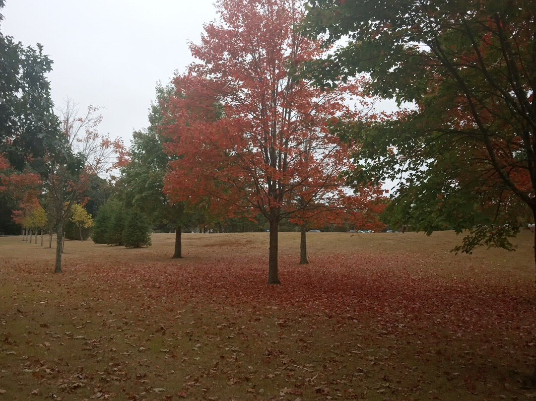 Slater Memorial Park景点图片