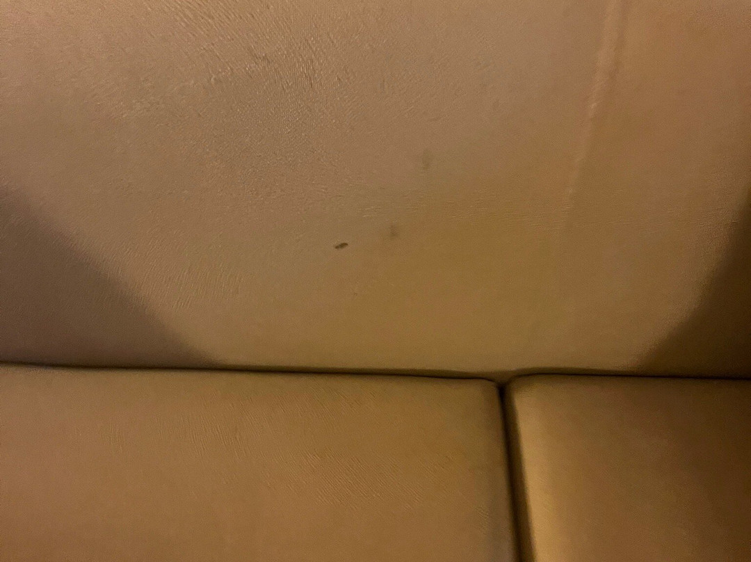 科尼亚海葵酒店主图