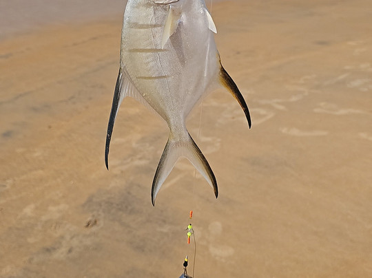 Praia dos Castelhanos-Anchieta必去景点