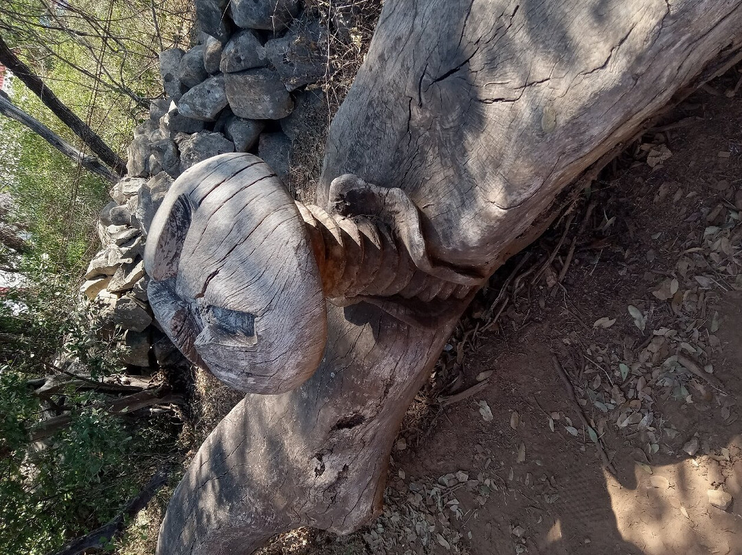 Flying Armadillo Disc Golf Club-圣马科斯必去景点