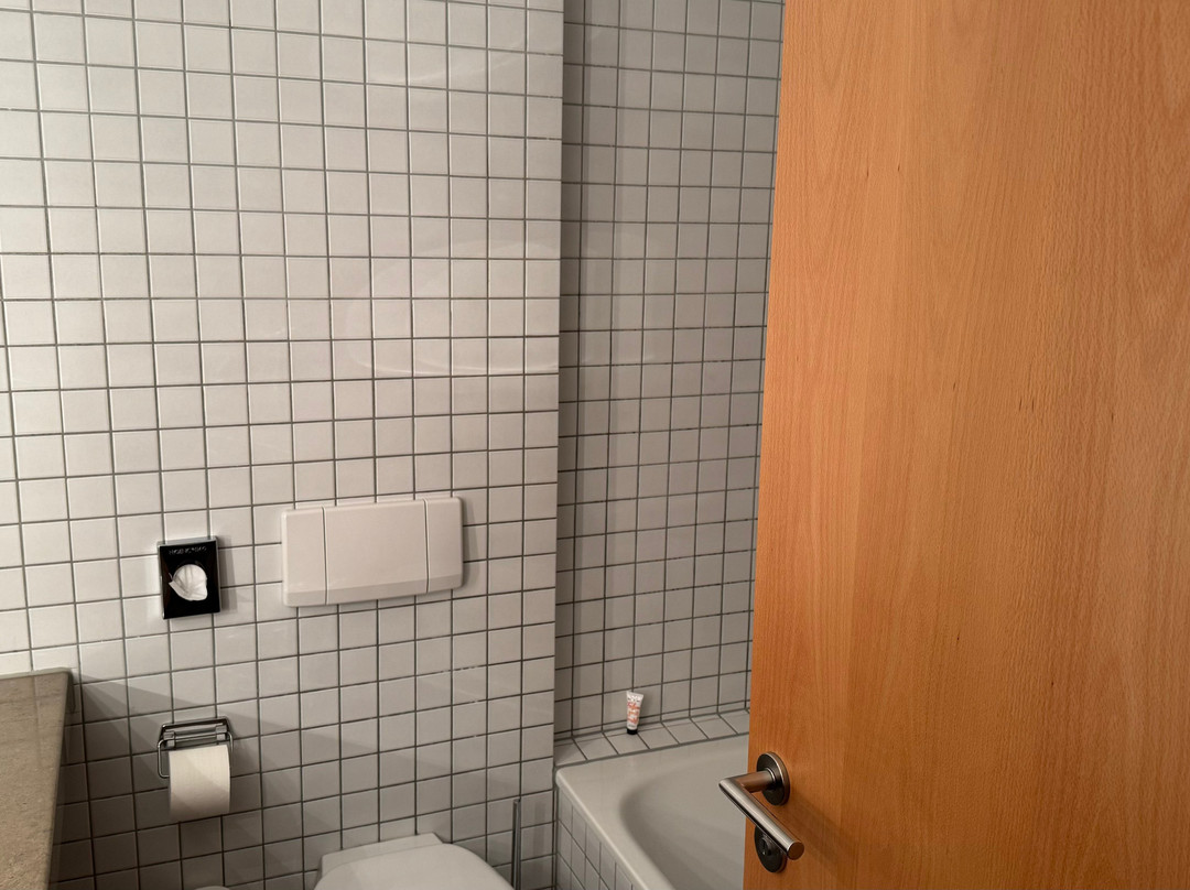 塞热西恩托尔酒店主图