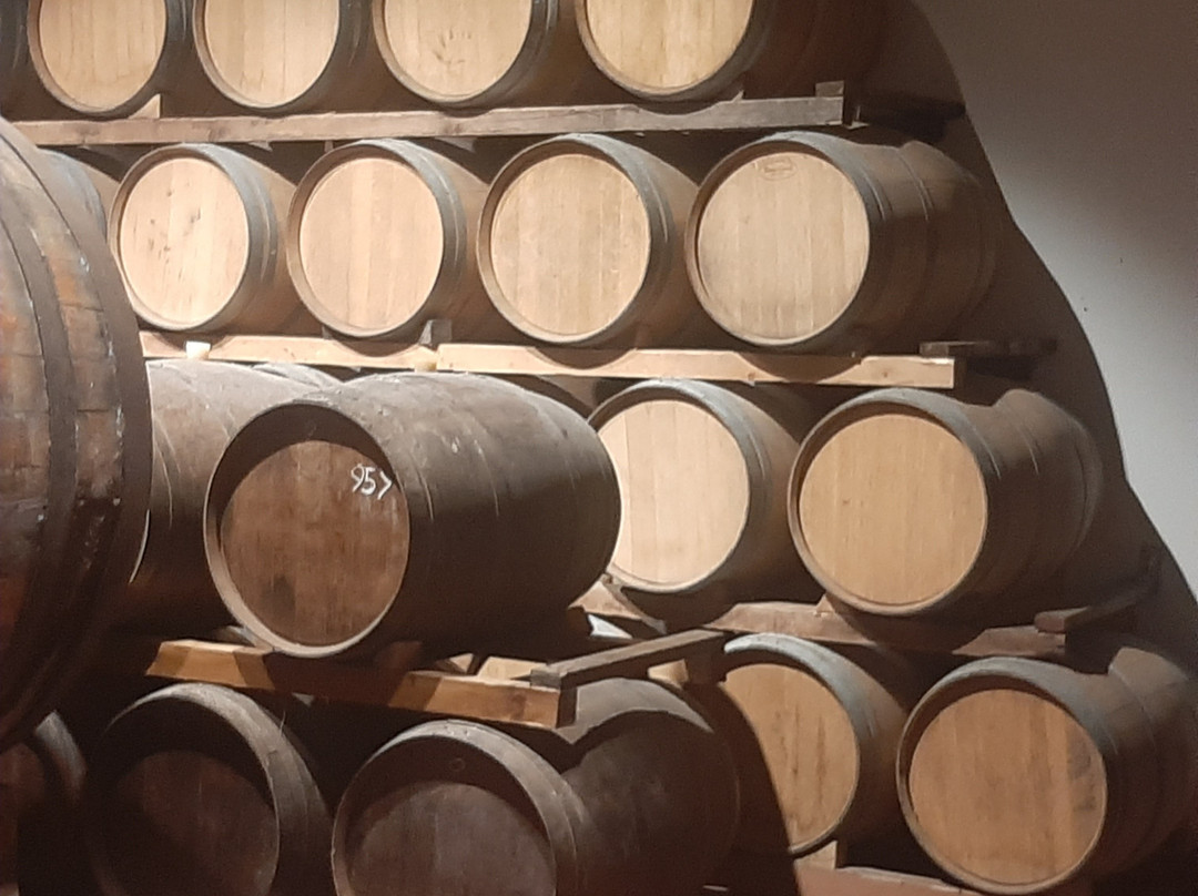 Azienda Vinicola Contini-卡布拉斯必去景点