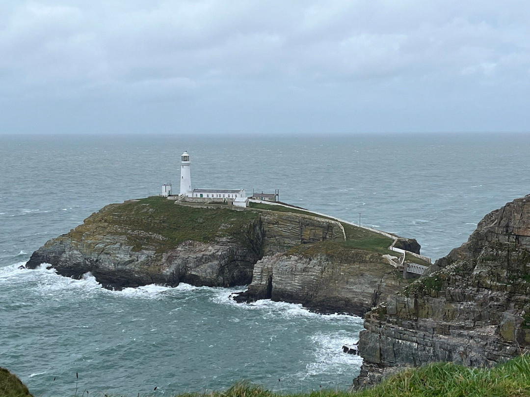 South Stack Cliffs RSPB Reserve-Holyhead必去景点