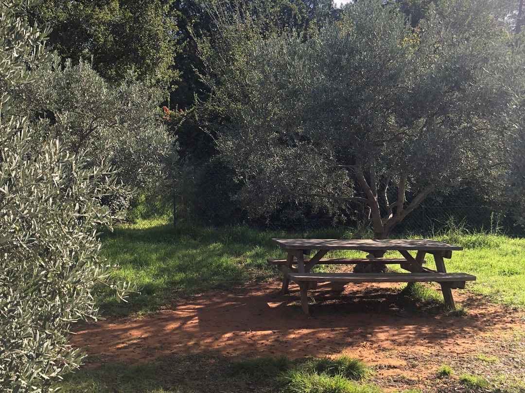 Le Sentier Des Ocres De Roussillon景点图片