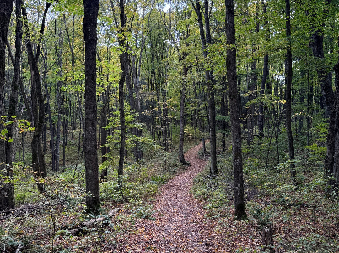Ed's Lake National Recreation Trail景点图片