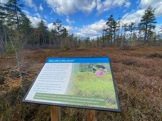 Saco Heath Preserve-萨考必去景点