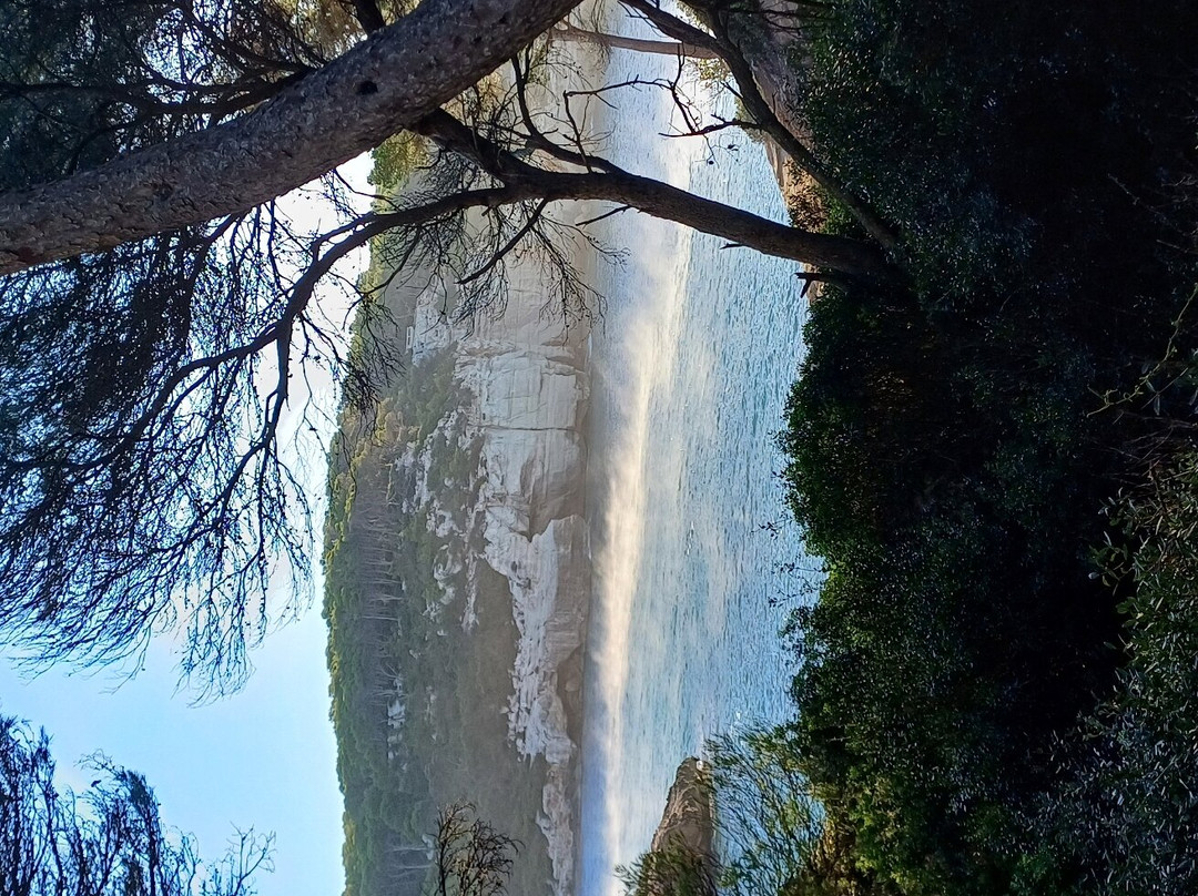 Cami de Cavalls-Mahon必去景点