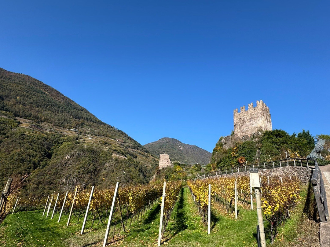 Cantina Barone a Prato dal 1885景点图片