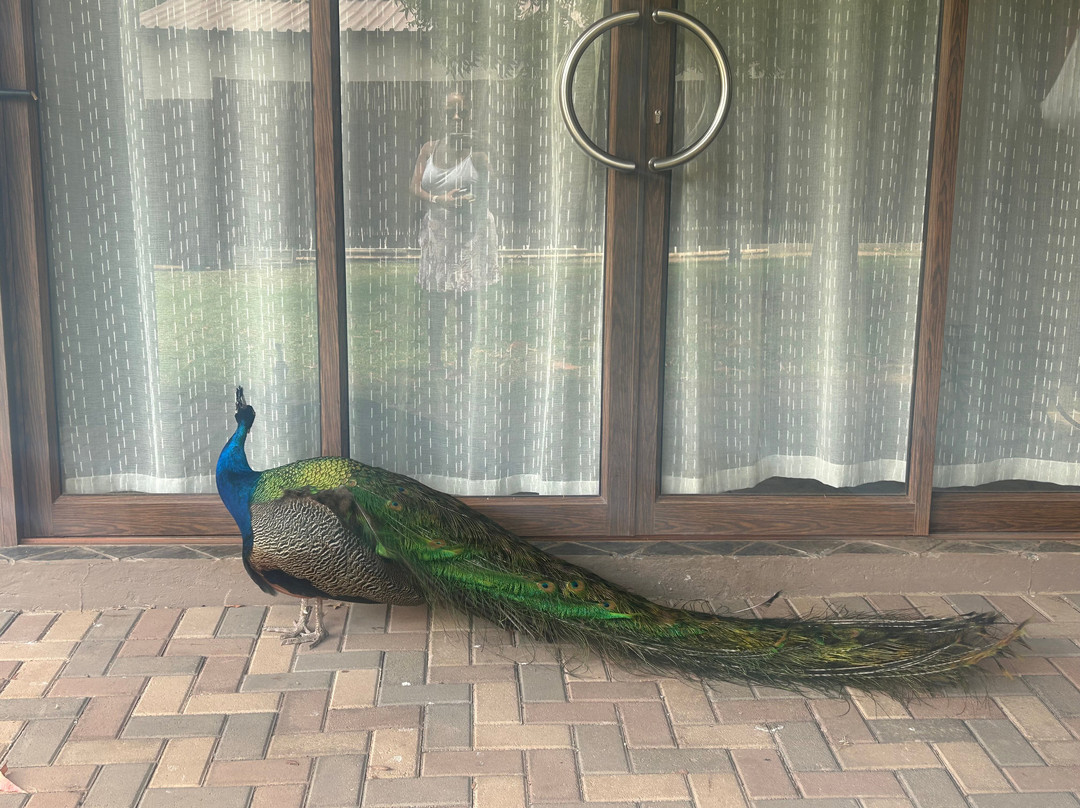 Summerset Place Country House主图