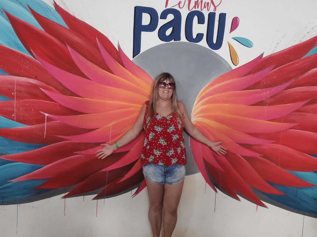 Termas Pacu Parque Aquático & Pesca-Mineiros do Tiete必去景点