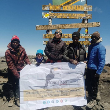 Tanzania Songbirds Safaris-阿鲁沙必去景点