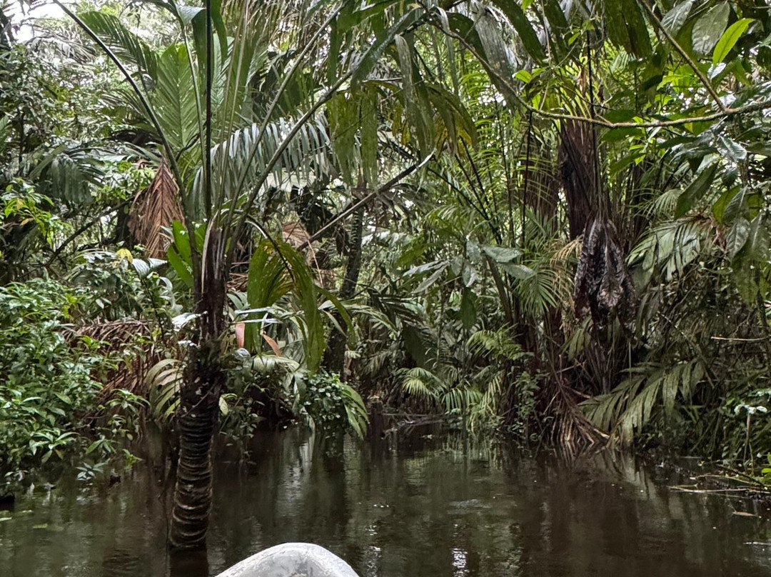 Tortuguero Infocenter Tours景点图片