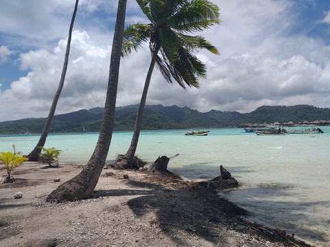 Tahaa Salty Services-塔哈岛必去景点