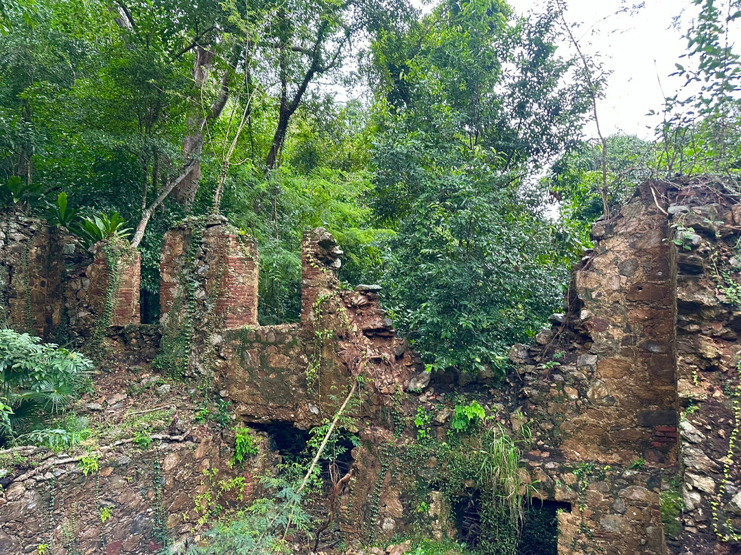 Reef Bay Trail-维尔京群岛国家公园必去景点