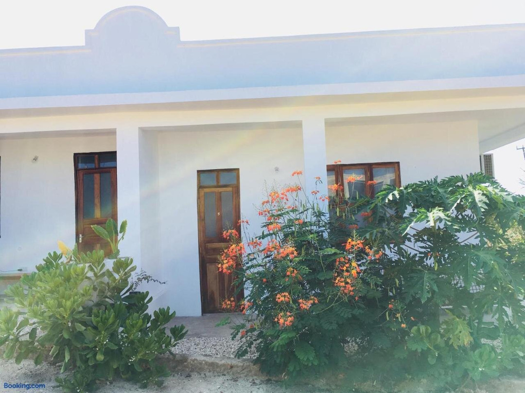 Kendwa Modern Flats - Wambaa Garden