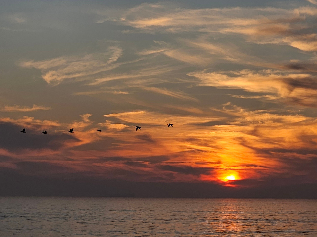 Hyatt Place Los Angeles/lax/El Segundo主图