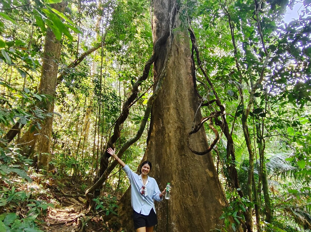 Phuket Local Guide Kong-Koh Kaew必去景点
