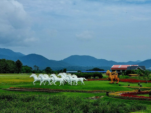 普山法度假村主图