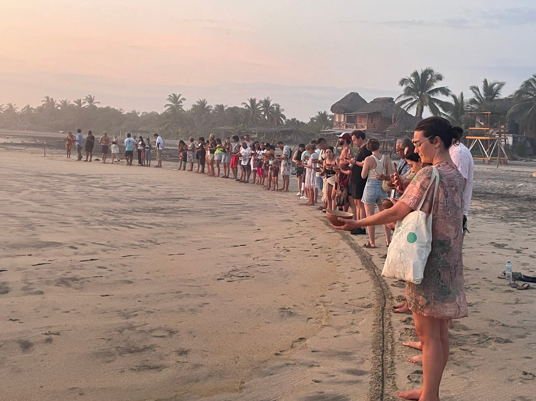 Playa Mazunte-Mazunte必去景点