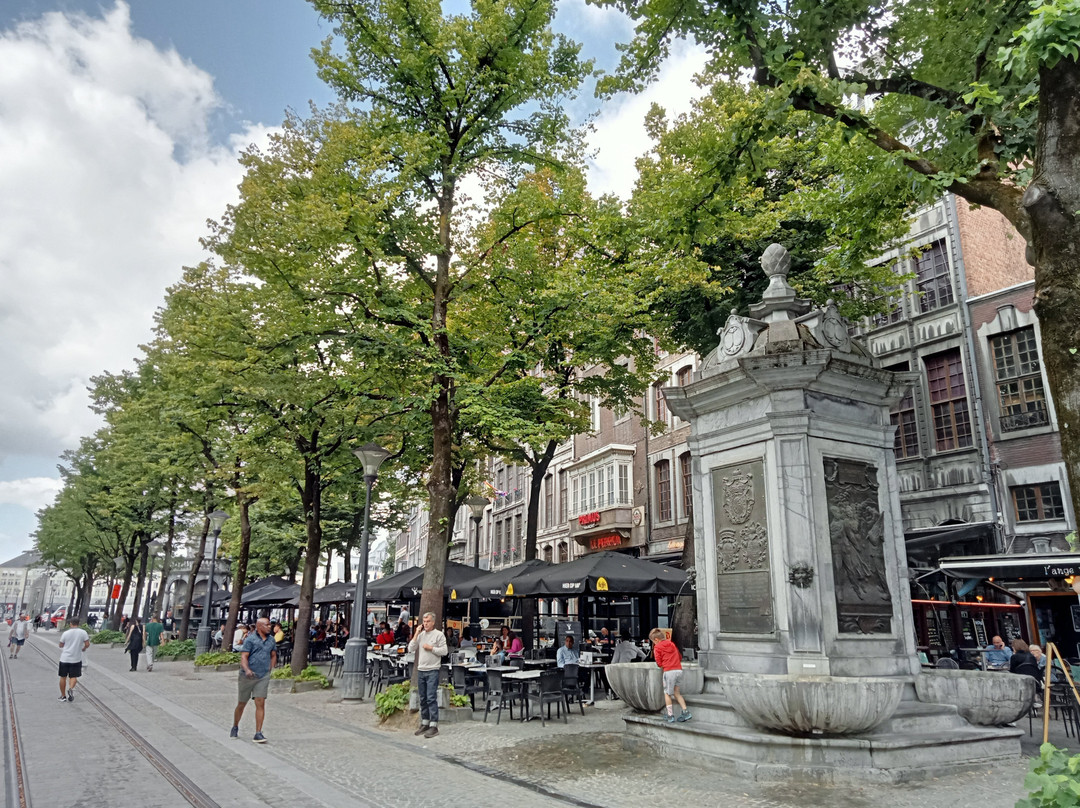 La Place du Marche景点图片