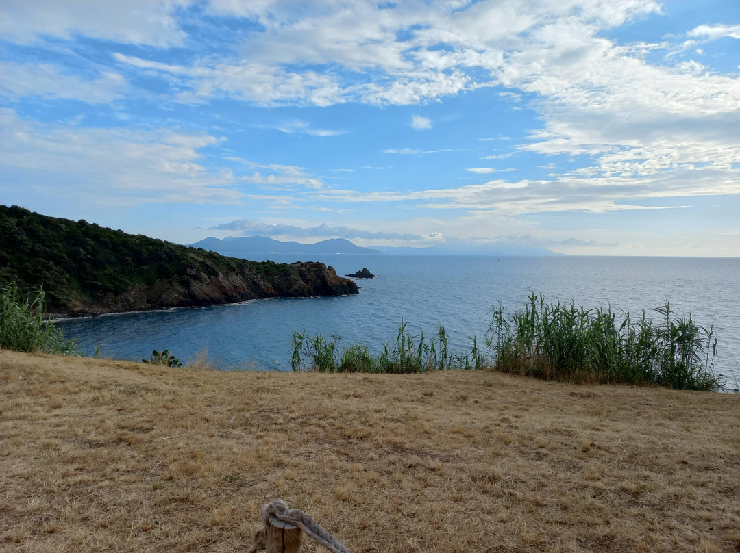 Spiaggia di Baratti景点图片